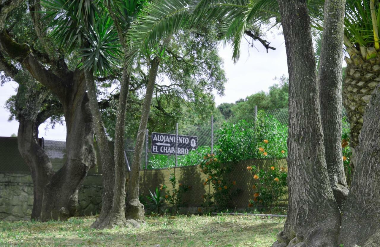 Alojamiento El Chaparro Barbate Junto A La Venta El Loro Exterior photo